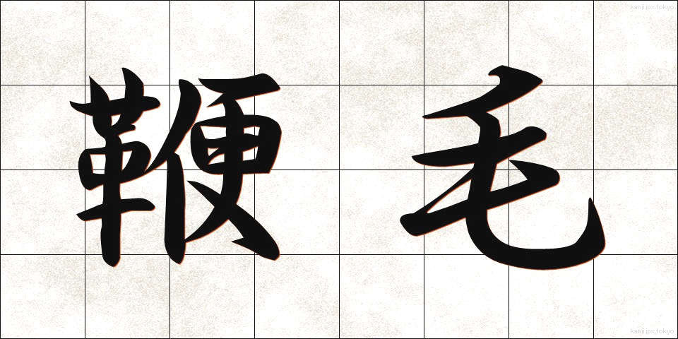 鞭毛 (べんもう)