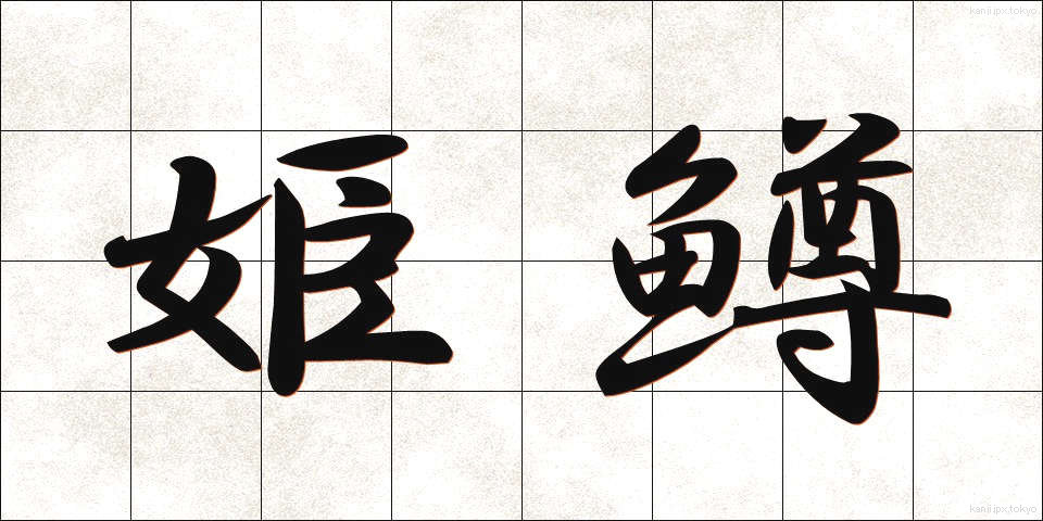 姫鱒 (ひめます)