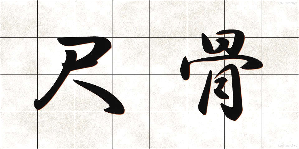 尺骨 (しゃっこつ)