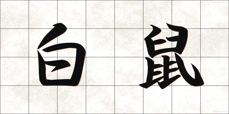 白鼠 (しろねずみ)