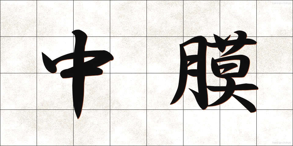 中膜 (ちゅうまく)