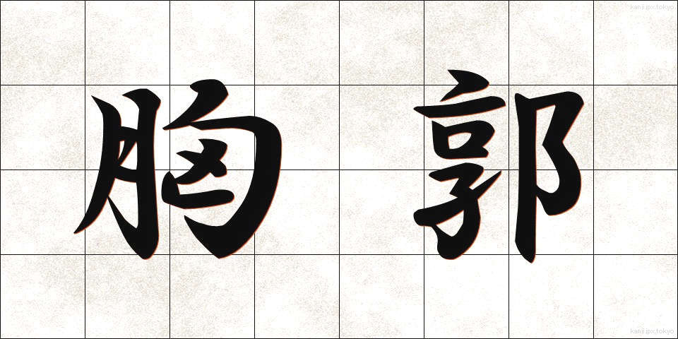 胸郭 (きょうかく)