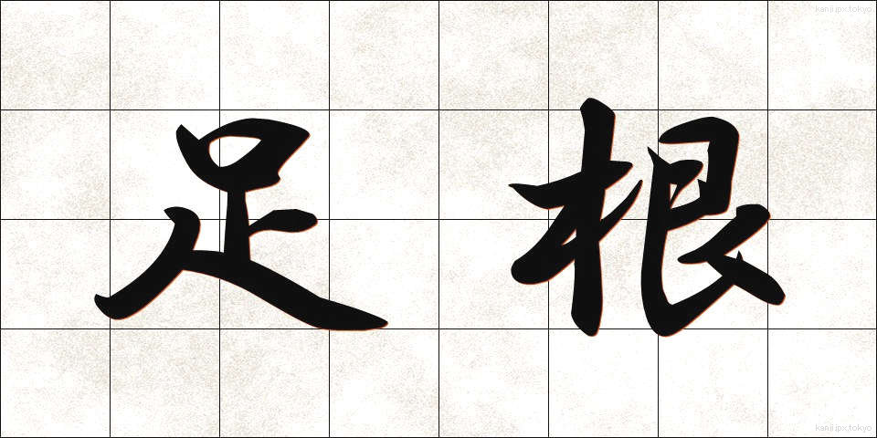 足根 (そっこん)