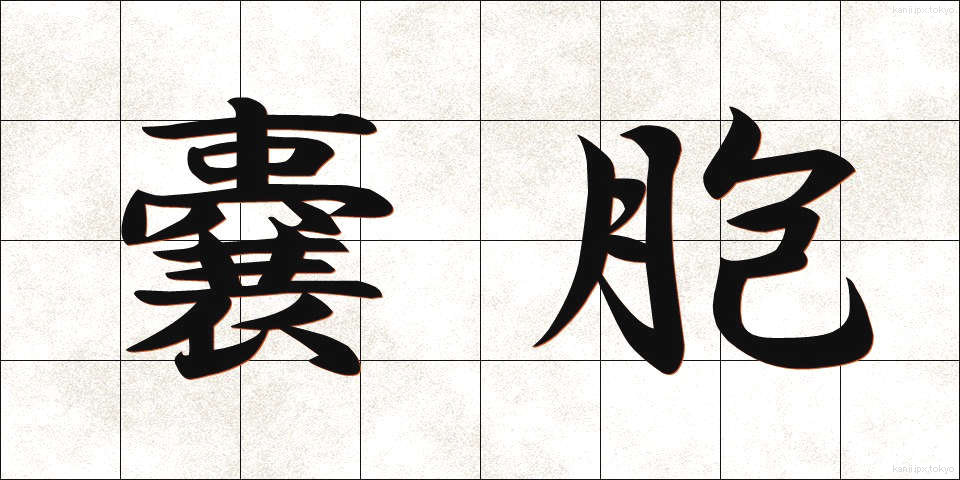 嚢胞 (のうほう)
