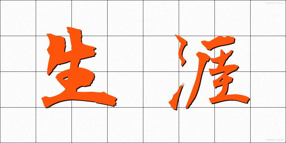 生涯 (しょうがい)