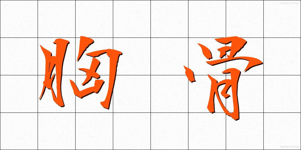 胸骨 (きょうこつ)