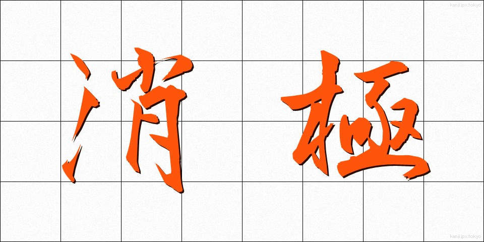 消極 (しょうきょく)