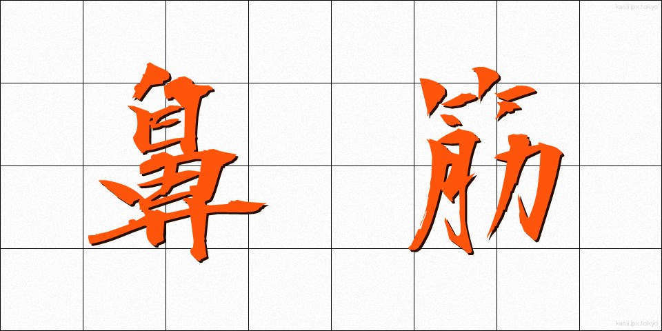 鼻筋 (はなすじ)