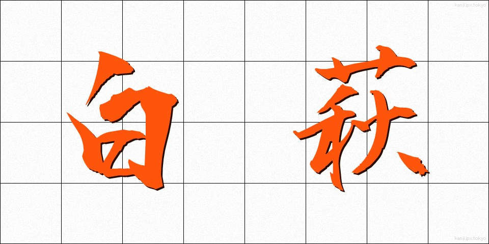 白萩 (しらはぎ)