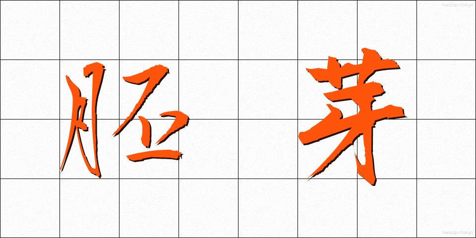 胚芽 (はいが)