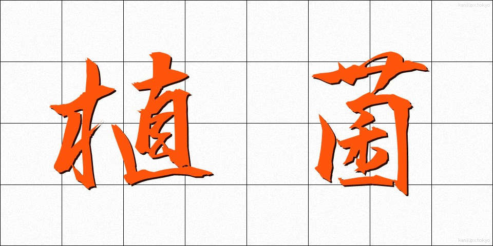 植菌 (しょっきん)