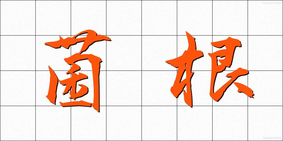 菌根 (きんこん)
