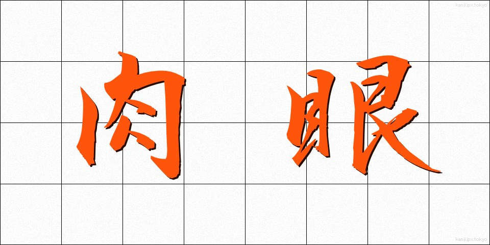 肉眼 (にくがん)