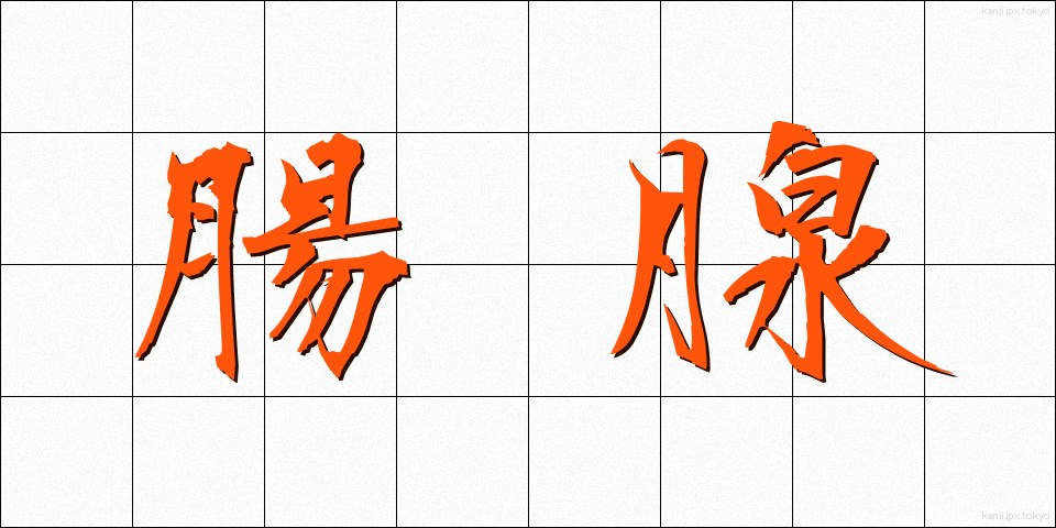 腸腺 (ちょうせん)