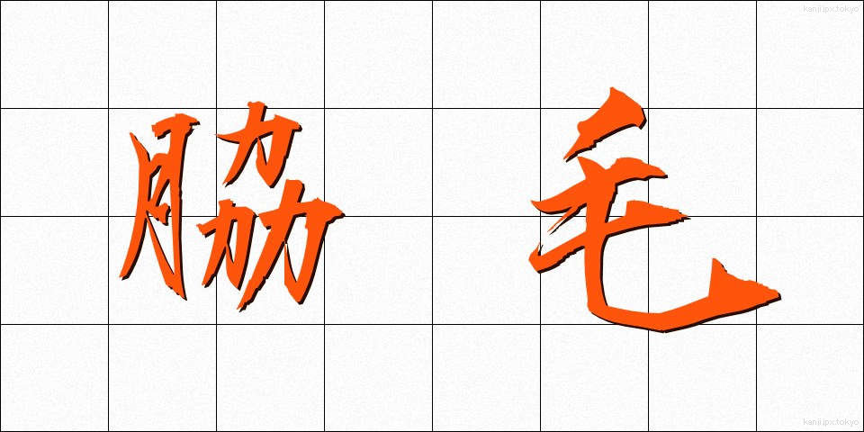 脇毛 (わきげ)