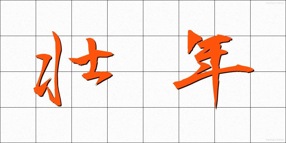 壮年 (そうねん)