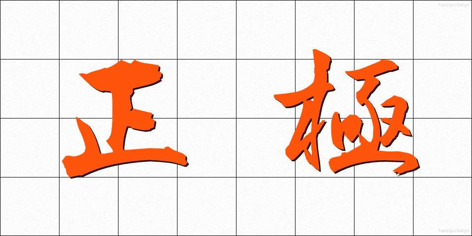 正極 (せいきょく)