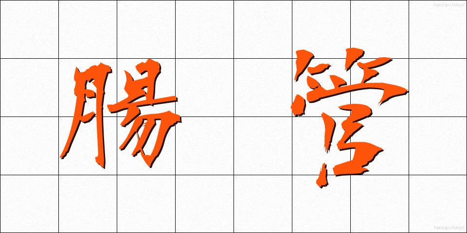 腸管 (ちょうかん)