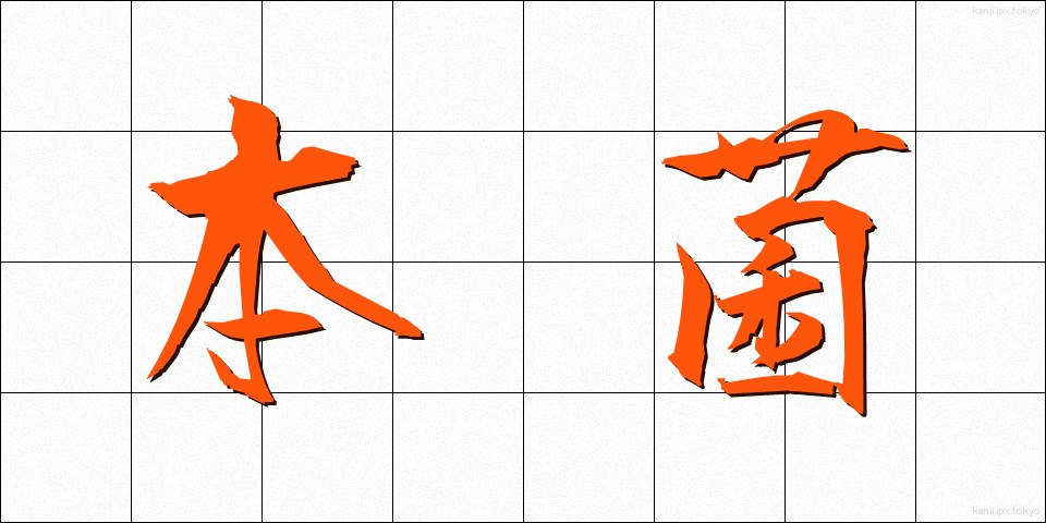 本菌 (ほんきん)