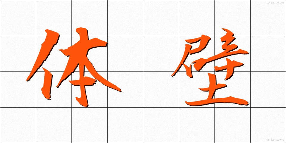 体壁 (たいへき)