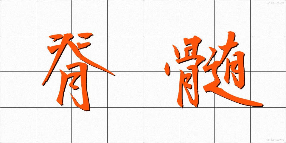 脊髄 (せきずい)