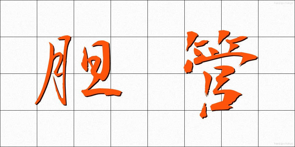 胆管 (たんかん)