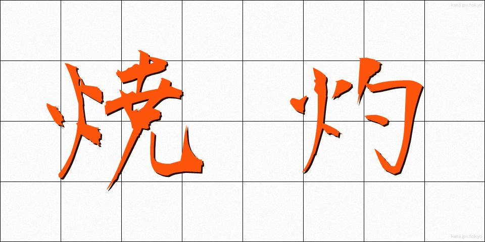 焼灼 (しょうしゃく)