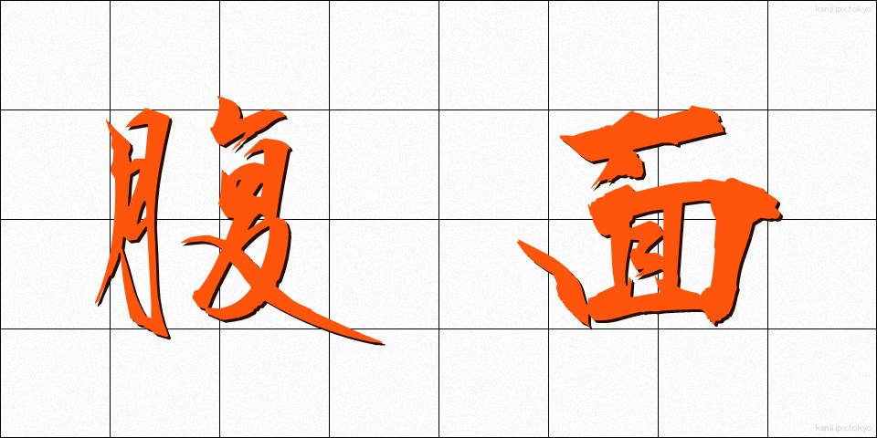 腹面 (ふくめん)