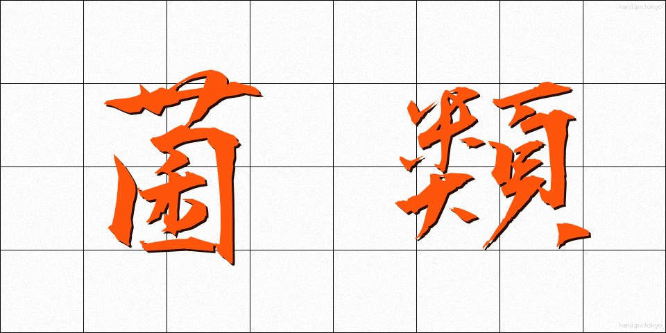 菌類 (きんるい)