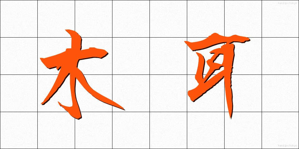 木耳 (きくらげ)