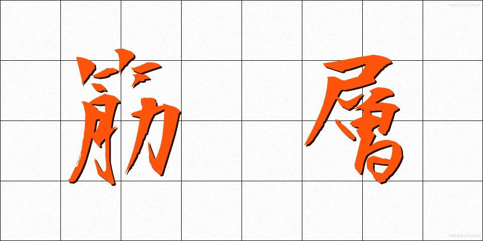 筋層 (きんそう)