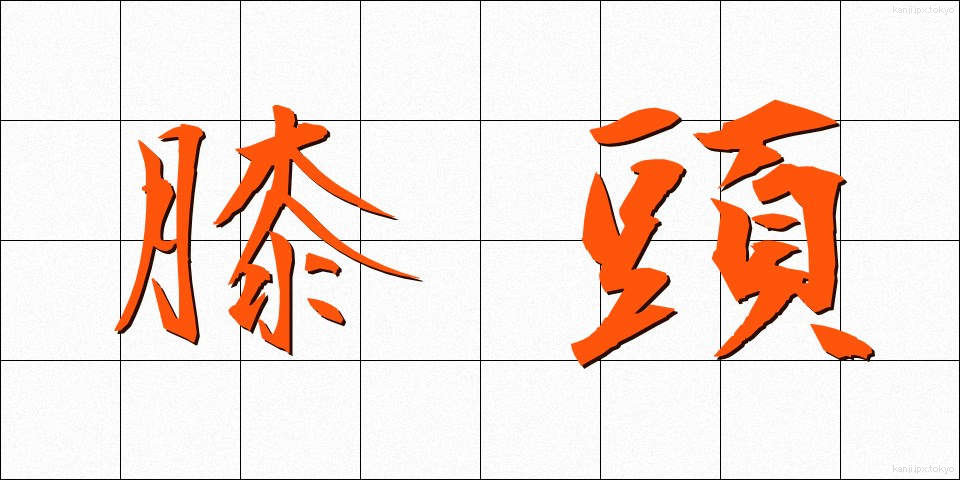 膝頭 (ひざがしら)