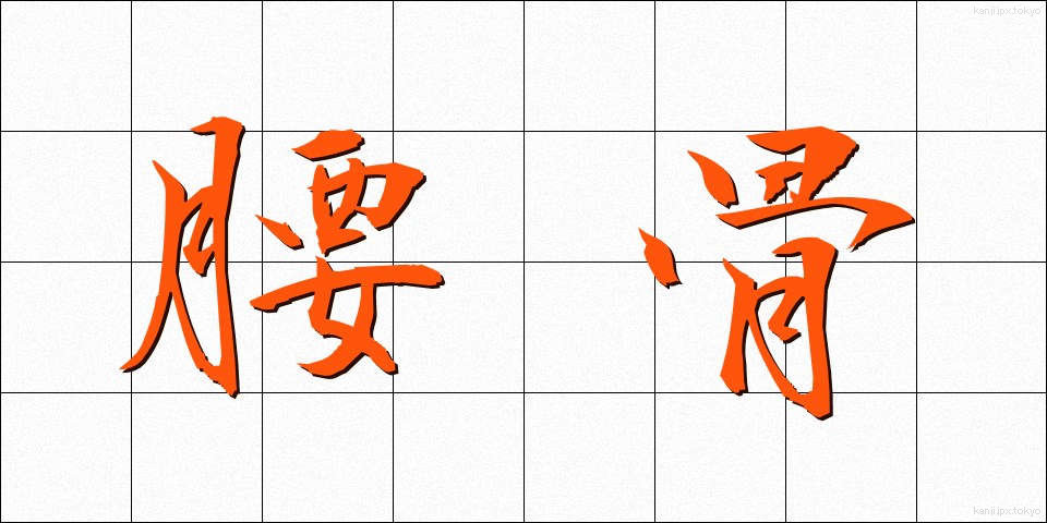 腰骨 (こしぼね)