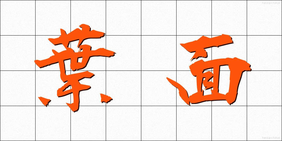 葉面 (ようめん)