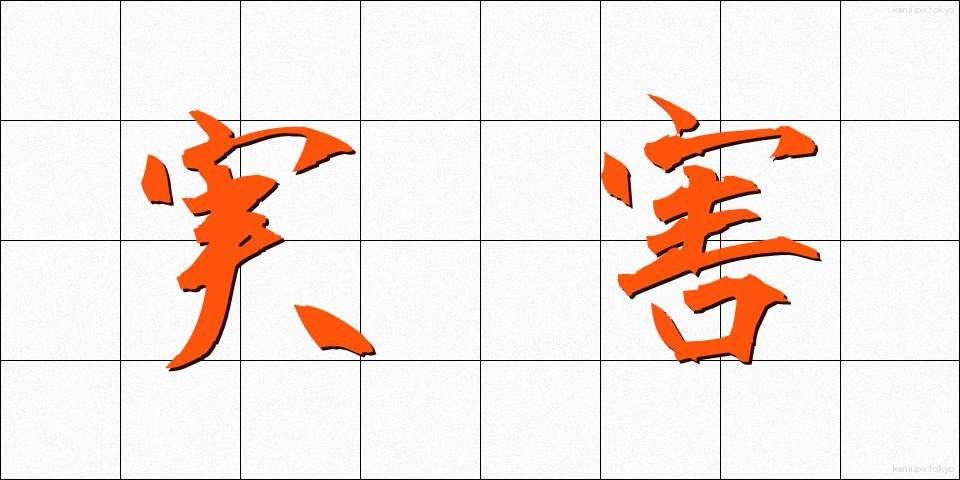 実害 (じつがい)