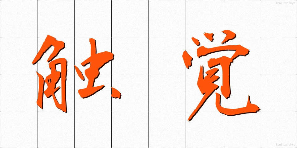触覚 (しょっかく)