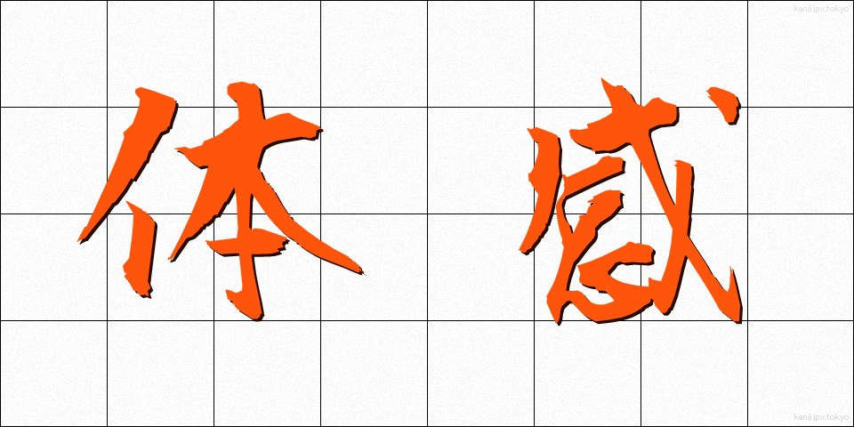体感 (たいかん)