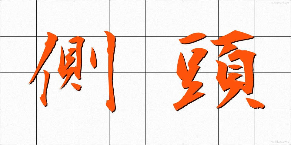 側頭 (そくとう)