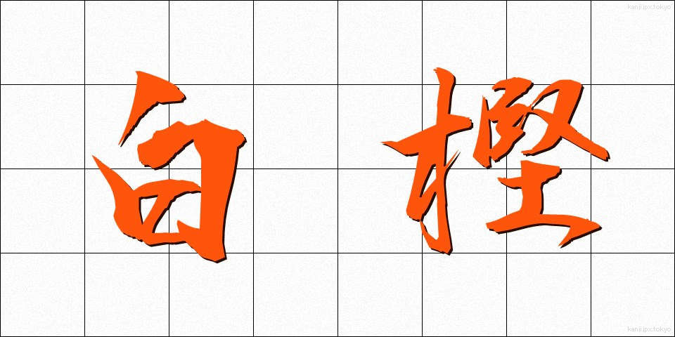 白樫 (しらかし)