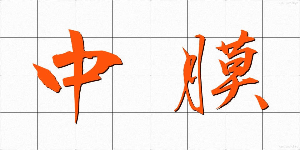 中膜 (ちゅうまく)