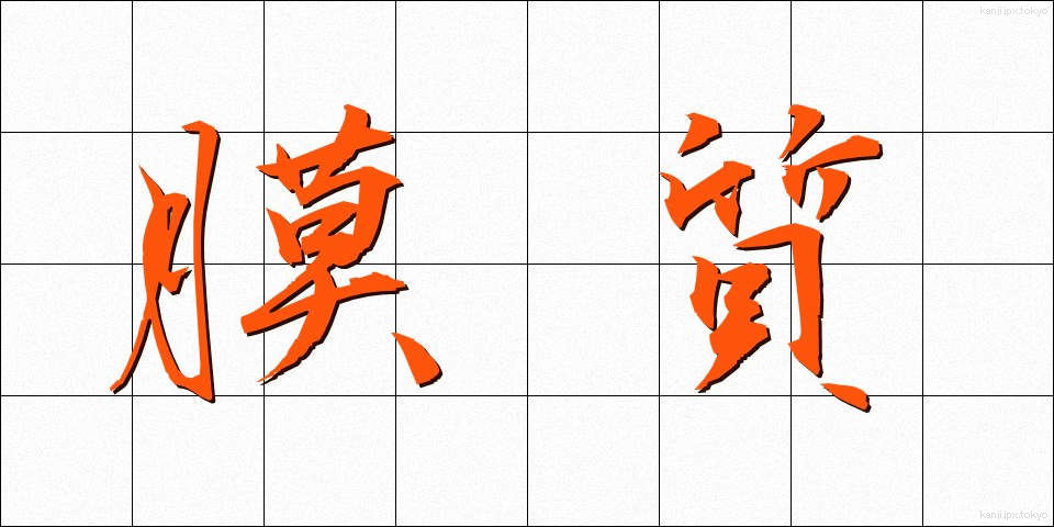 膜質 (まくしつ)