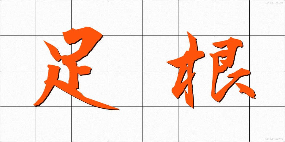 足根 (そっこん)