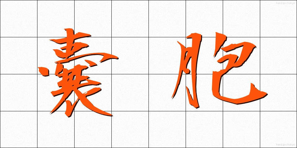 嚢胞 (のうほう)