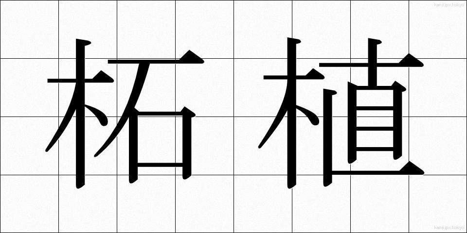 柘植 (つげ)