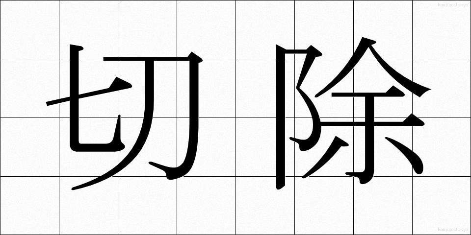 切除 (せつじょ)