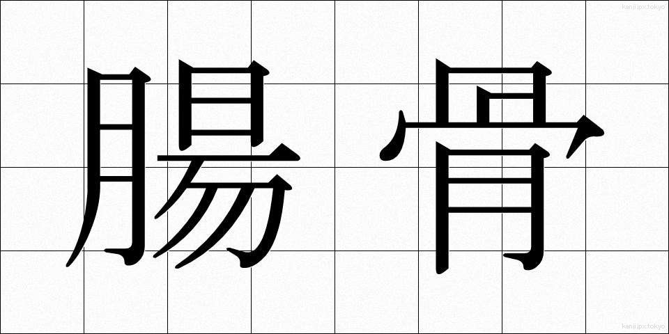 腸骨 (ちょうこつ)
