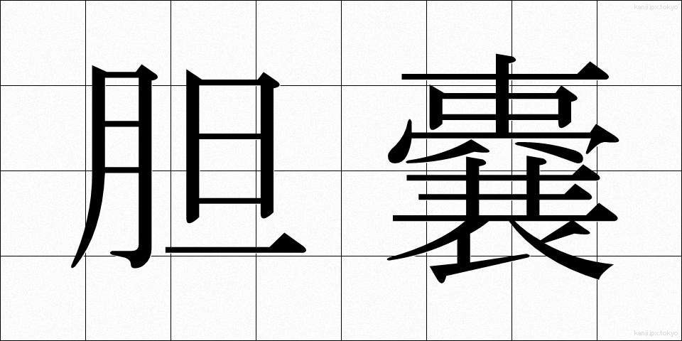 胆嚢 (たんのう)