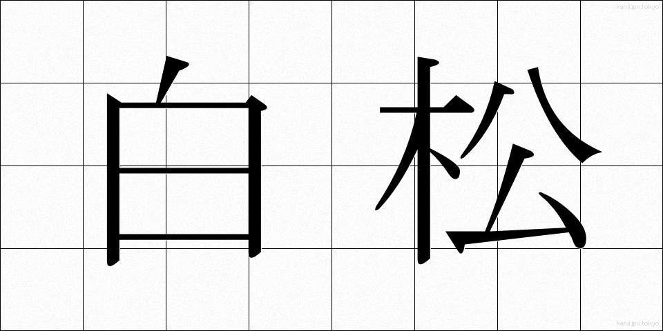 白松 (しらまつ)
