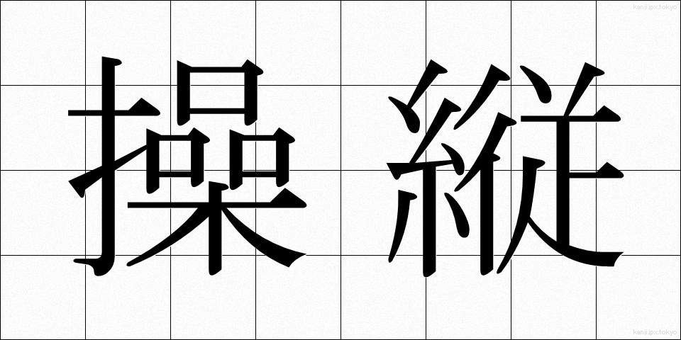操縦 (そうじゅう)
