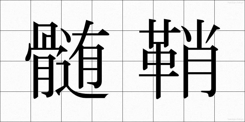 髄鞘 (ずいしょう)